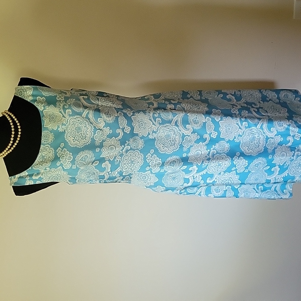 Ann Taylor  silk dress